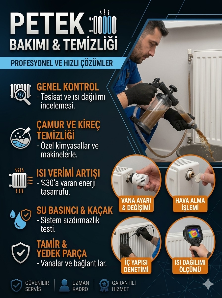 Petek Bakımı